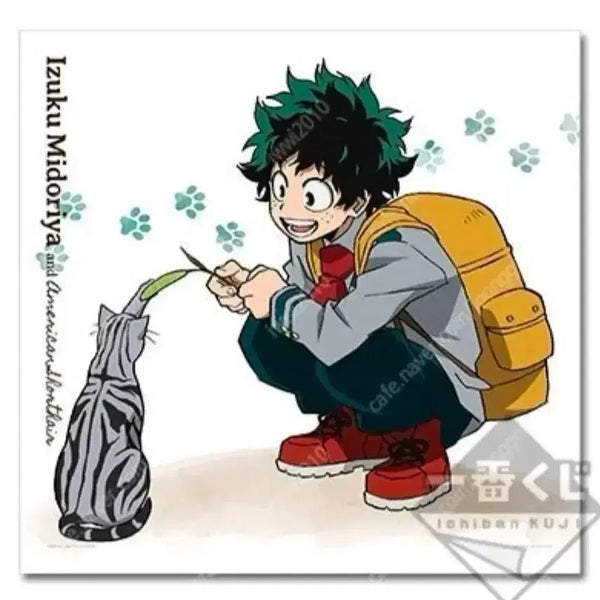 [BUNJANG] My Hero Academia Izuku Midoriya Neko Kuji Sealed / 나히아 히로아카 미도리야 네코쿠지