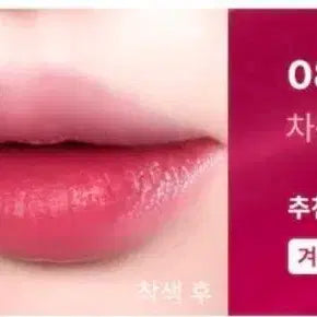 [BUNJANG] B.reit Tint 08 Merlot / 새상품 브레이 틴트 08 메를로
