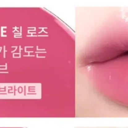[BUNJANG] Bling Glow Chiffon Rose Tint / 새상품 브레이 틴트 칠로즈