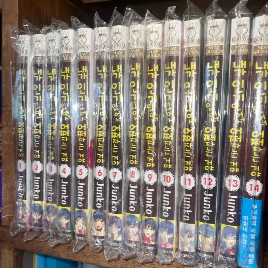 [BUNJANG] I Don't Know What to Do With My Popularity Full Set Manga / 내가 인기 있어서 어쩌자는거야 만화책 전권