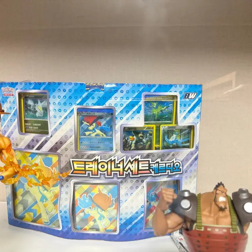 [BUNJANG] Pokemon Trainer Set Cardeau / 트레이너세트 캐르디오