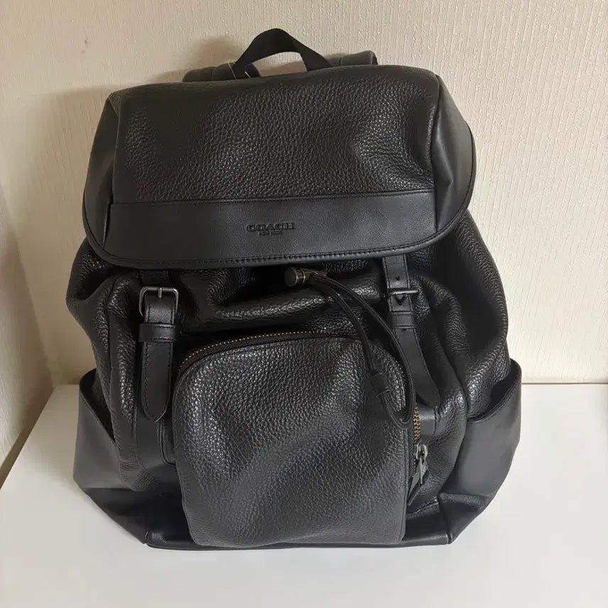 [BUNJANG] Coach Leather Backpack F72311 / 코치 백팩 새상품 판매합니다 F72311