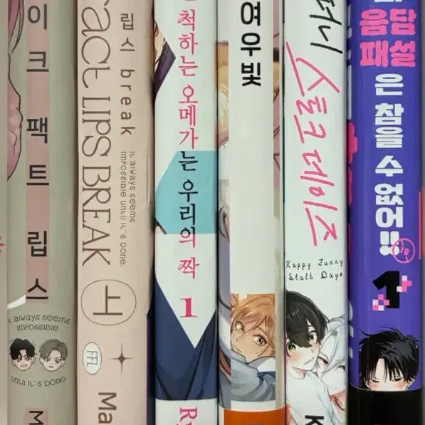 [BUNJANG] BL Manga Bundle Set / 비엘 만화책 일괄