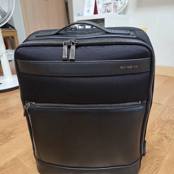 [BUNJANG] Samsonite Randalle Backpack QN109001 / 쌤소나이트 RANDALLE 백팩 QN109001