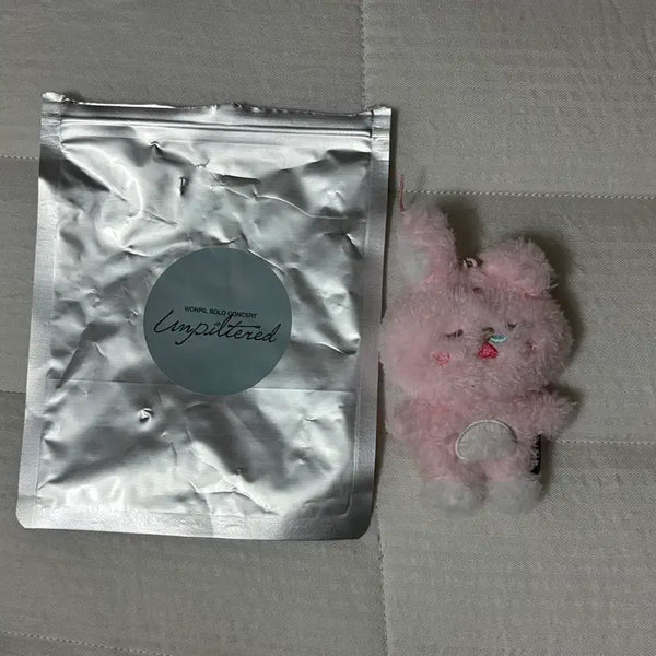 [BUNJANG] Day6 Wonpil Unfiltered Secret Keyring / 데이식스 데식 언필터드 원필 필끼 랜덤 시크릿키링 쿨쿨필