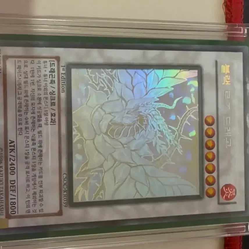 [BUNJANG] Yu-Gi-Oh! Black Rose Dragon 1st Edition Holo / 유희왕 )블랙로즈 드래곤 1st 홀로
