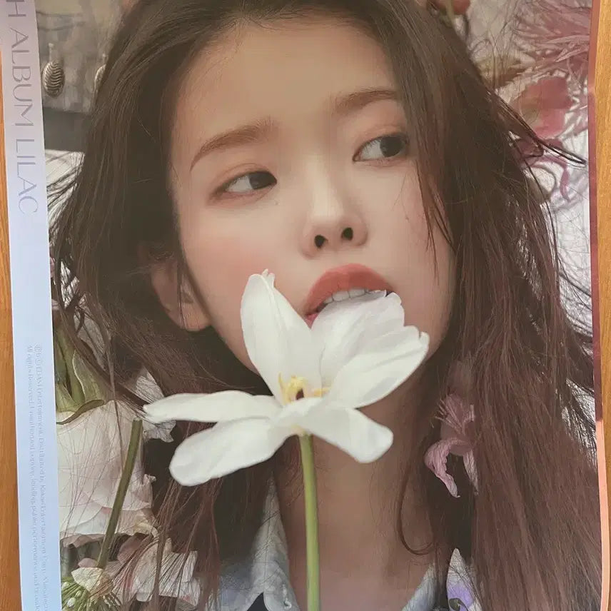[BUNJANG] IU 'LILAC' 5th Album Poster / 아이유 포스터