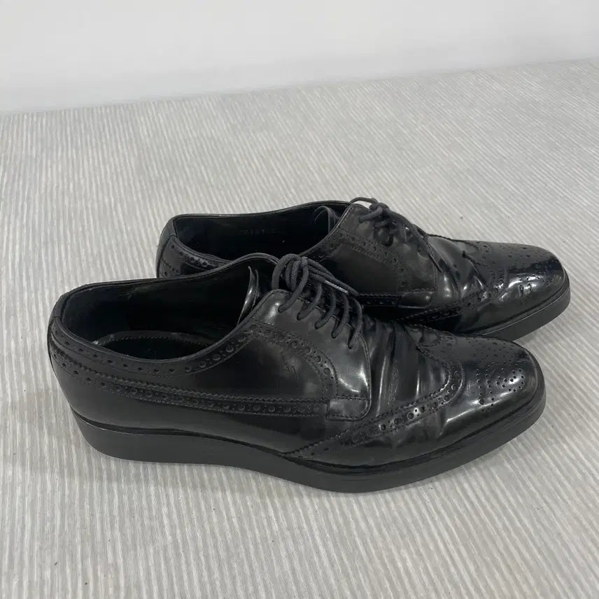 [BUNJANG] Prada Sport Wingtip Derby Shoes Size 5 / 967) Prada 프라다 스포츠 윙팁 더비 슈즈 5