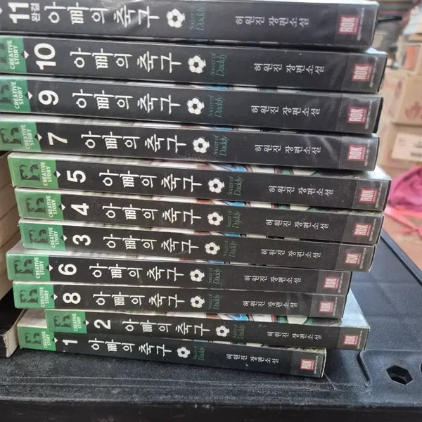 [BUNJANG] Daddy's Soccer (Lok Media) 11-Volume Novel Set / 아빠의 축구 로크미디어 11권 세트 소설책 중고책