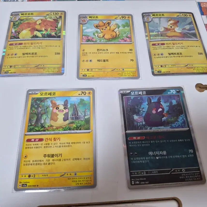 [BUNJANG] Pokemon Card PARMORT & MORPEKO 5 Card Set / 포켓몬 카드 빠르모트 / 모르페코 5장 세트