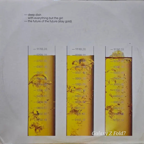 [BUNJANG] Deep Dish The Future of the Future LP Vinyl Record / BA-692. 딥 디쉬. The future.... LP 음반.