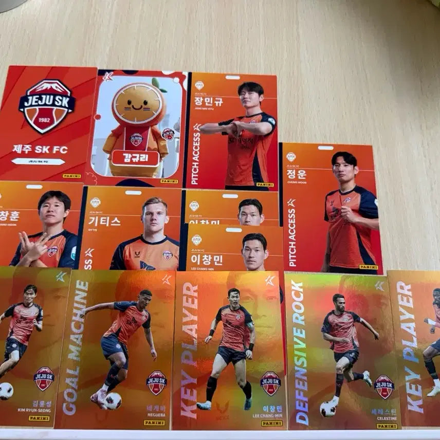 [BUNJANG] Panini Trading Card Collection 2026 / 2026 파니니 카드 모음