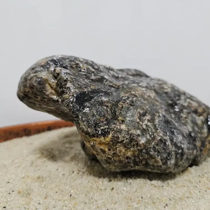 [BUNJANG] Unique Turtle Pattern Natural Stone Display Piece / 수석 자연석 거북이 호피석 크기 18 - 11 - 8