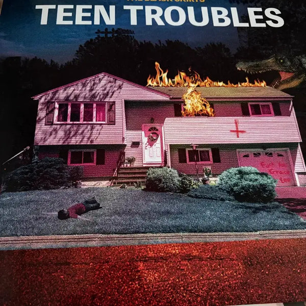 [BUNJANG] The Black Skirts Tint Trouble LP / 검정치마-틴트러블 Lp팔아요!