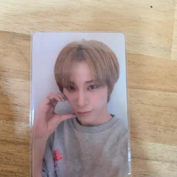 [BUNJANG] xlov Seoul Concert Haru Photocard / xlov 엑스러브 서울콘  하루포카