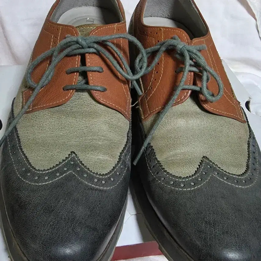 [BUNJANG] Tandy Leather Wingtip Shoes / 텐디 가죽구두