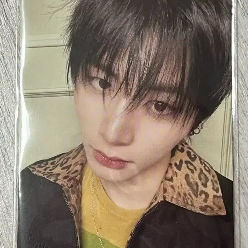 [BUNJANG] Han Taesan Photocard / 한태산 포카 양도
