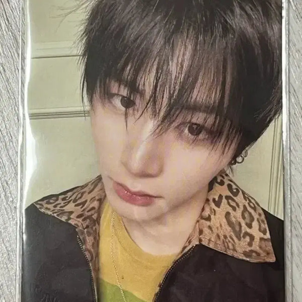 [BUNJANG] Han Taesan Photocard / 한태산 포카 양도