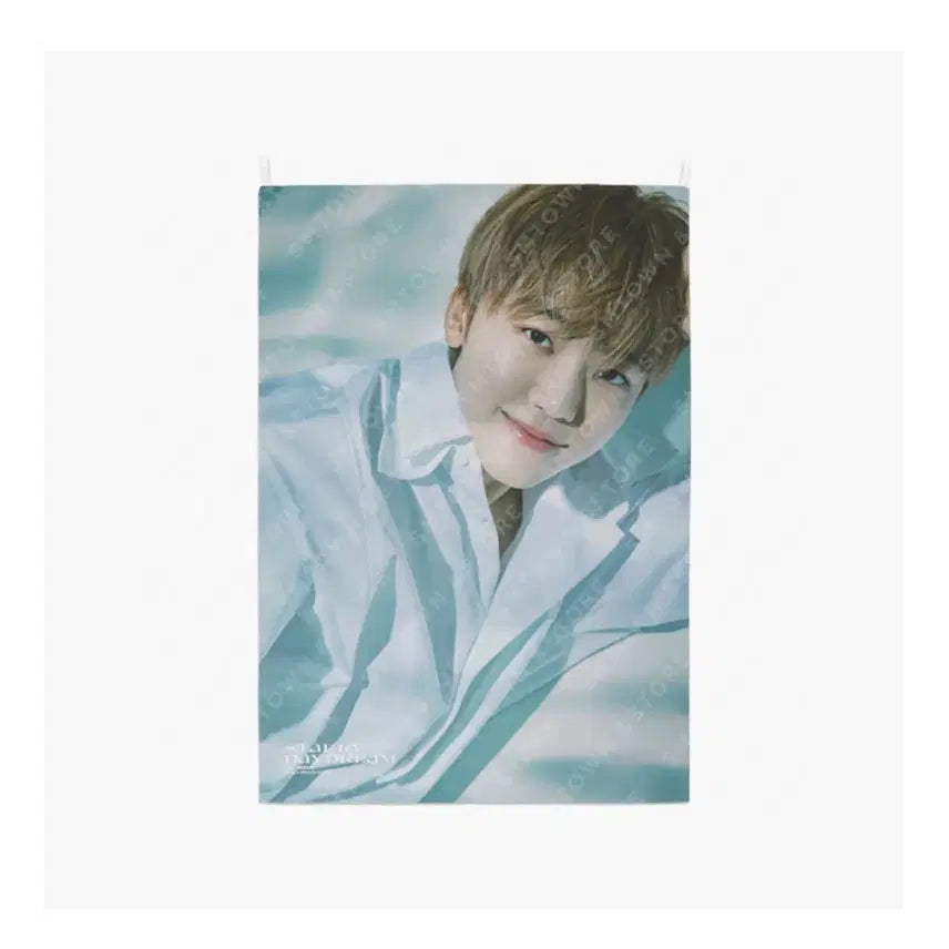 [BUNJANG] NCT DREAM Jaemin Fabric Poster / 엔시티드림 재민 패브릭 포스터 판매합니다