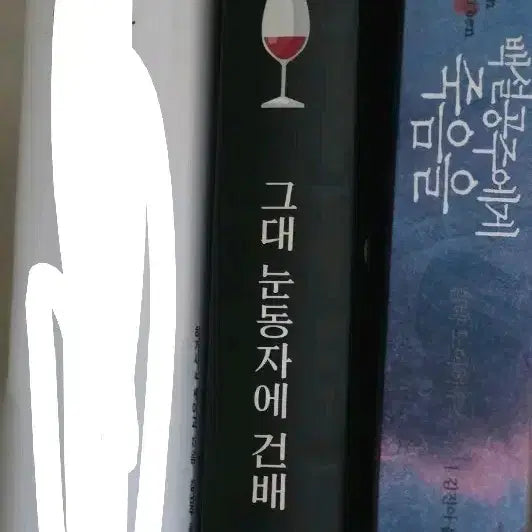 [BUNJANG] Keigo Higashino Novel Collection: To the Poisonous Apple, Cheers in Your Eyes, Dying Eye / 히가시노 게이고 소설집: 죽음을 백설공주에게 / 그대 눈동자에 건배 / 다잉 아이