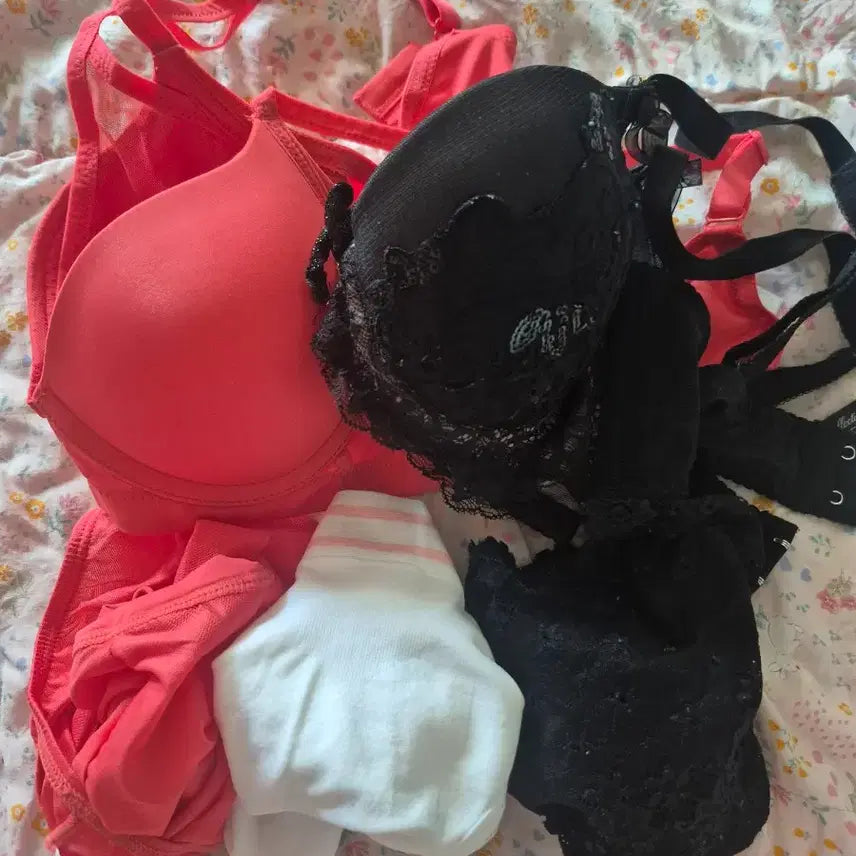[BUNJANG] Women's Lace Bra and Panty Set / 여성속옷(브라팬티세트)