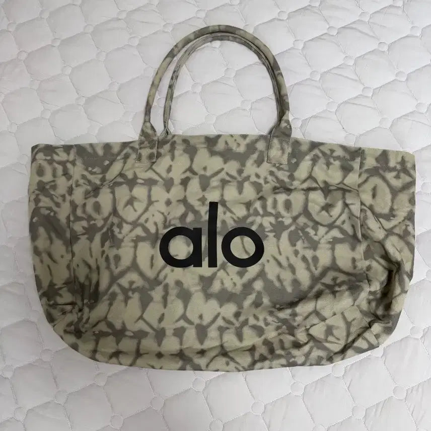 [BUNJANG] ALDO Bag / 알로 가방
