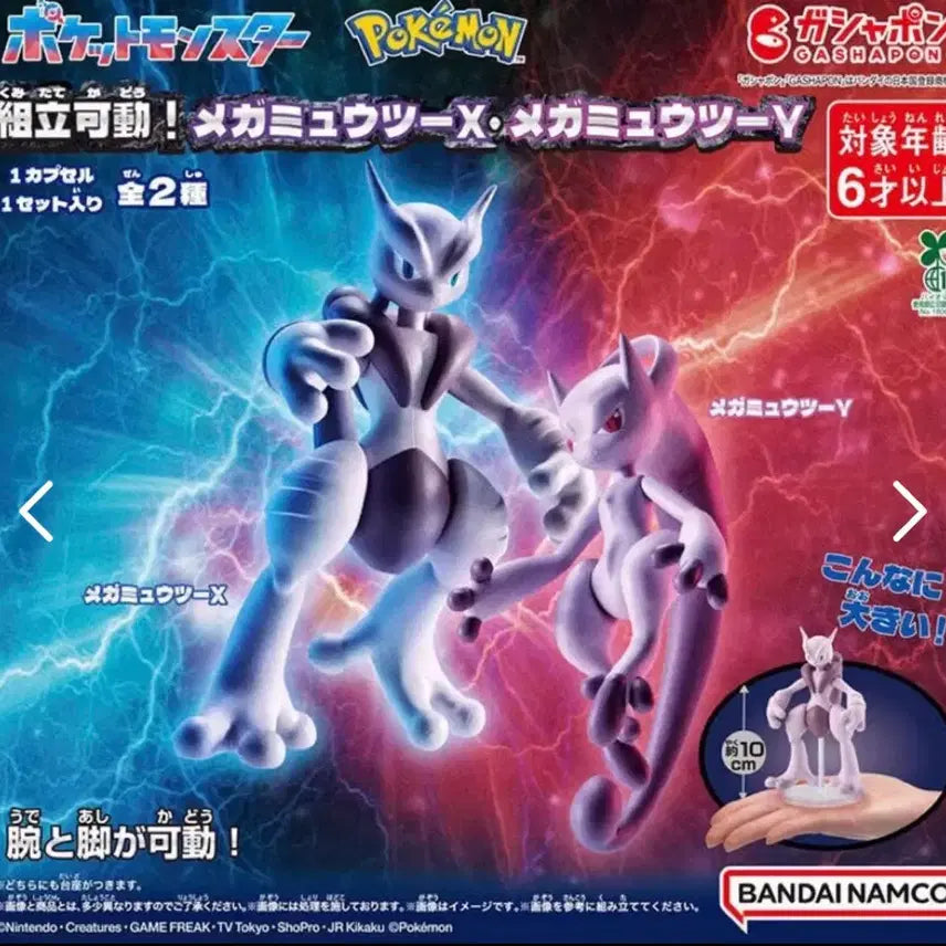 [BUNJANG] Mega Mewtwo XY Gacha Bundle Set / 메가 뮤츠 XY 가챠 일괄