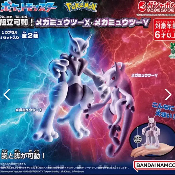 [BUNJANG] Mega Mewtwo XY Gacha Bundle Set / 메가 뮤츠 XY 가챠 일괄