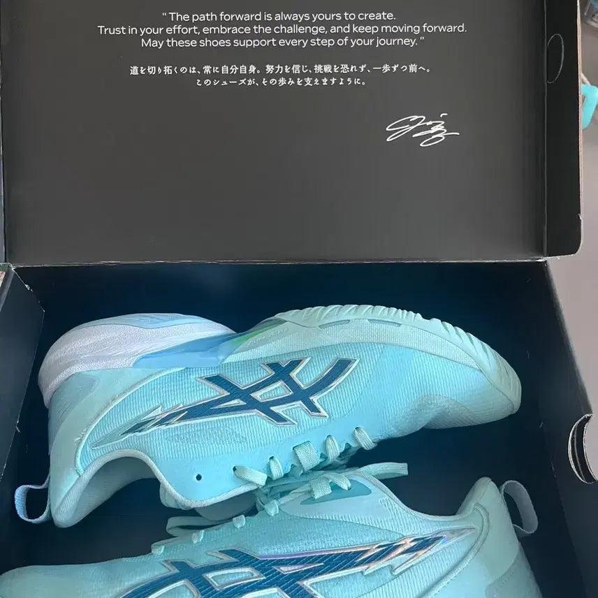 [BUNJANG] Asics Kawamura Yuki Signature Basketball Shoes / 아식스 유키 농구화