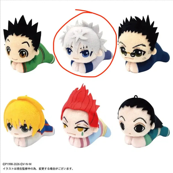 [BUNJANG] Hunter x Hunter Killua Zoldyck Nui Plush & Lenticular Badge Bundle Set / 일괄 헌터헌터 키르아 조르딕 굿즈 허그캬라 누이 렌티큘러 뱃지