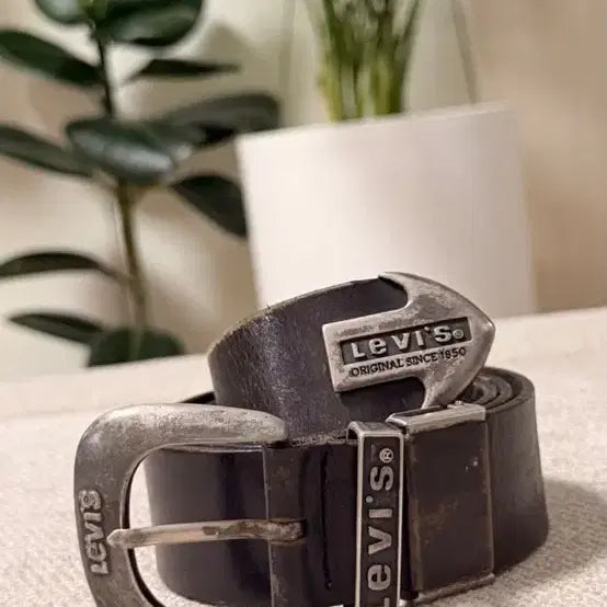 [BUNJANG] Levi's Vintage Leather Belt / 리바이스 빈티지 벨트