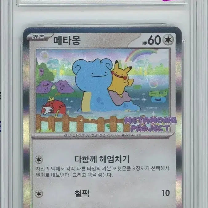 [BUNJANG] Pokemon Graded Cards Bundle / brg 그레이딩 카드 팔거나 교환