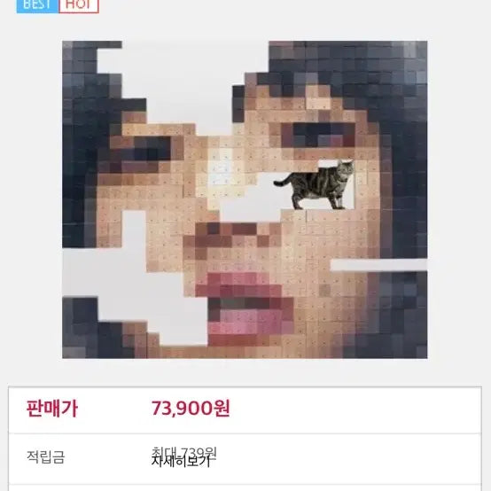 [BUNJANG] Aimyon 5th Album 'Neko wa Yasashikunai' Limited Edition 1CD+2DVD / 아이묭 정규 5집 초회한정판