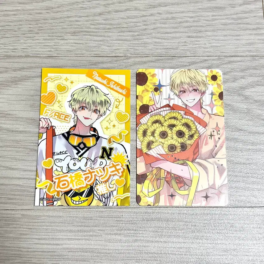 [BUNJANG] Tammon Natsuki Photocard Bundle Set / 타몬군 지금 어느 쪽 나츠키 포토카드 양도
