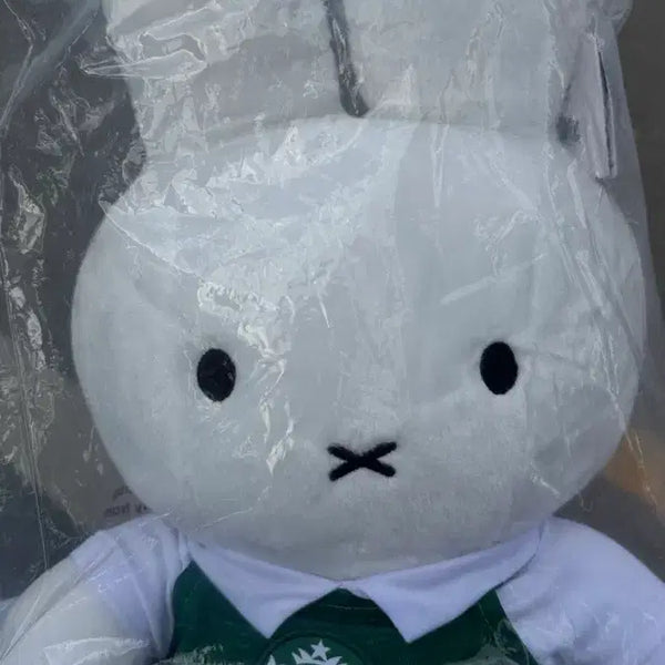 [BUNJANG] Taiwan Starbucks Miffy Doll / 대만 스타벅스 미피 인형