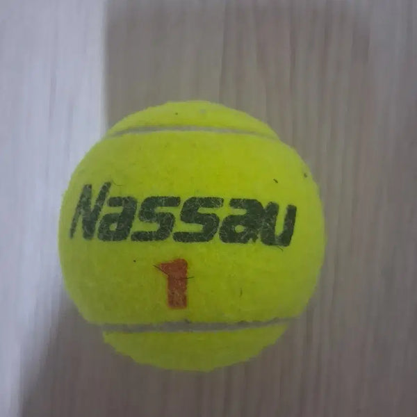 [BUNJANG] Nassau Tennis Ball (No. 1) / 나사우 테니스공 1호