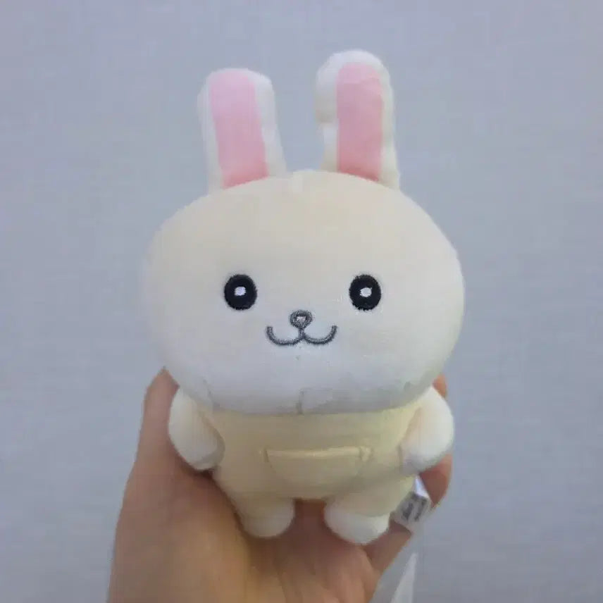 [BUNJANG] Chiikawa Usagi Bunny Version Plush / 치이카와 우사기 무슨무슨 바니안 난토카 난또까 포테마타