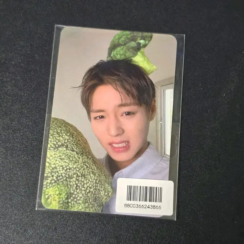 [BUNJANG] Park Jihoon FORMENT Photocard Sealed / 박지훈 포맨트 포카 미개봉 양도합니다!
