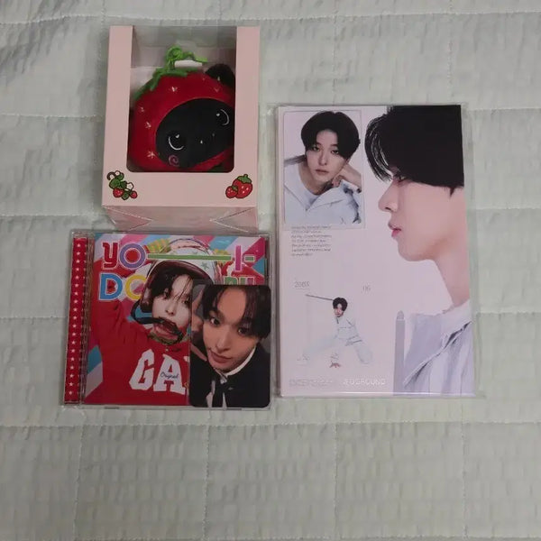 [BUNJANG] NCT WISH Riku Strawberry Bakery Keychain Bundle Set / NCT WISH 위시 딸기 베이커리 리쿠 딸기 키링 쿠리 일괄