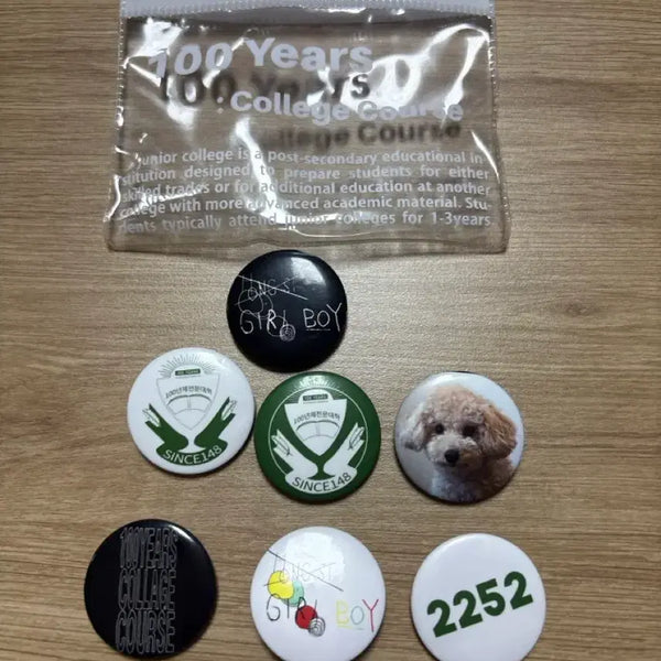 [BUNJANG] Giriboy 100-Year University Badge / 기리보이 100년제전문대학 뱃지