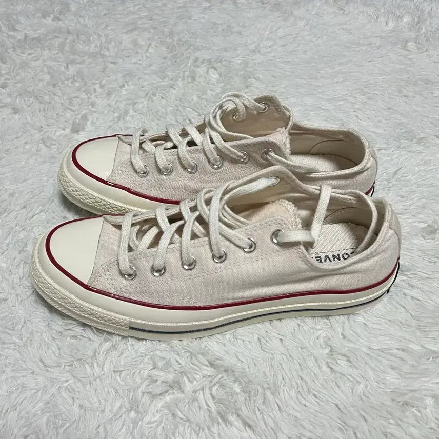 [BUNJANG] Converse Chuck 70 Parchment Low Top Sneakers / 컨버스 로우 척70 파치먼트 265 (아이보리_실착X)