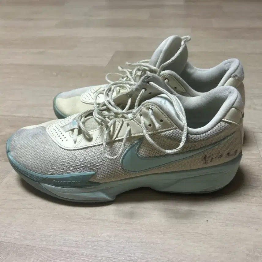 [BUNJANG] Nike GT Cut Academy 1 Basketball Shoes Signed by Hong Soon-gyu / 나이키 지티컷아카데미1 농구화 / (리바운드 실제인물 홍순규 선수 친필사인 농구화