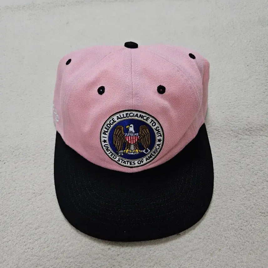 [BUNJANG] Supreme Pledge 6-Panel Hat / 슈프림 플레지 얼리전스 6패널 급처