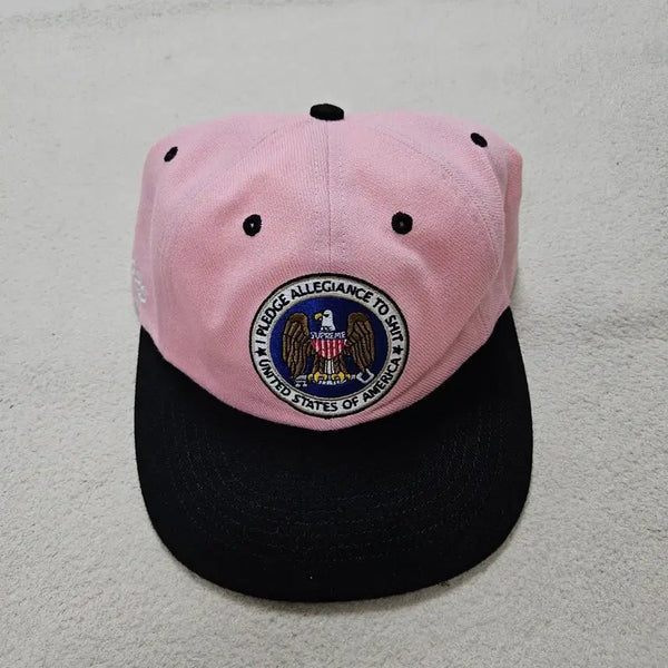 [BUNJANG] Supreme Pledge 6-Panel Hat / 슈프림 플레지 얼리전스 6패널 급처