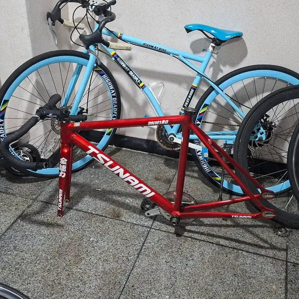 [BUNJANG] Tsunami Bicycle Frame / 쓰나미 급처
