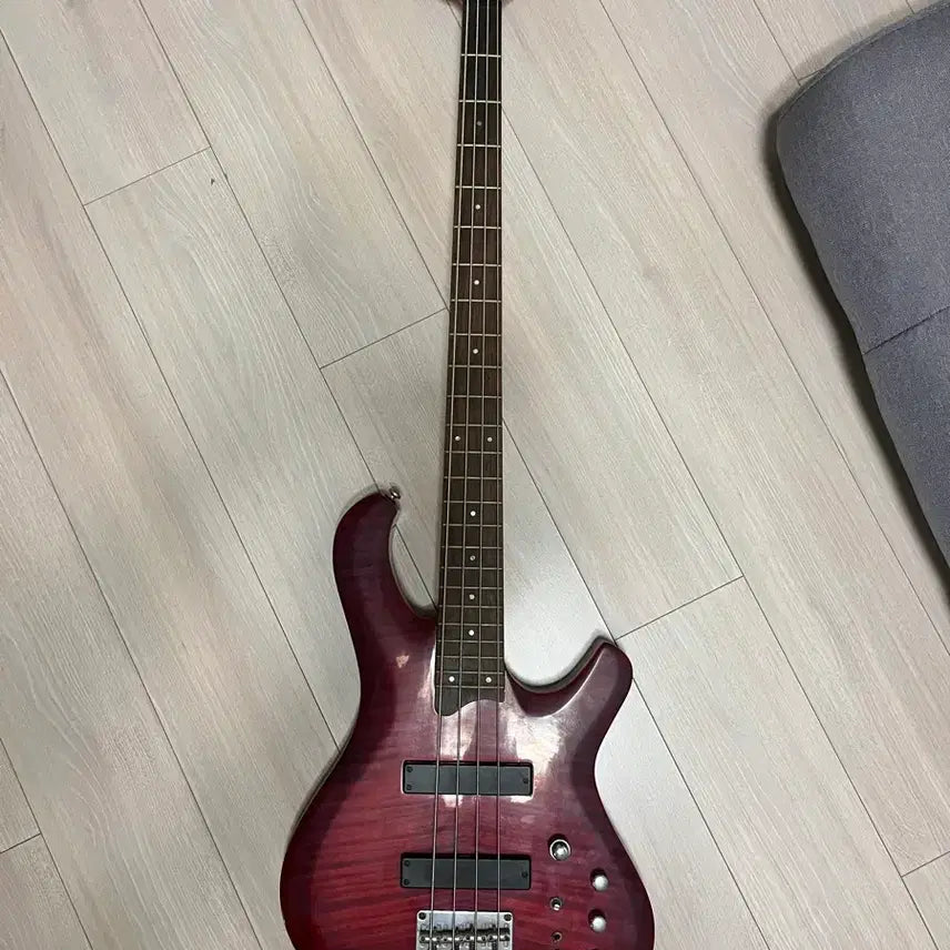 [BUNJANG] Dame Paul & Paul 300 Bass Guitar / 데임 폴앤폴300 베이스기타