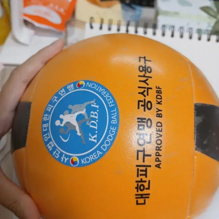[BUNJANG] Dodgeball / 피구공 싸게 팝니다 (반택포)
