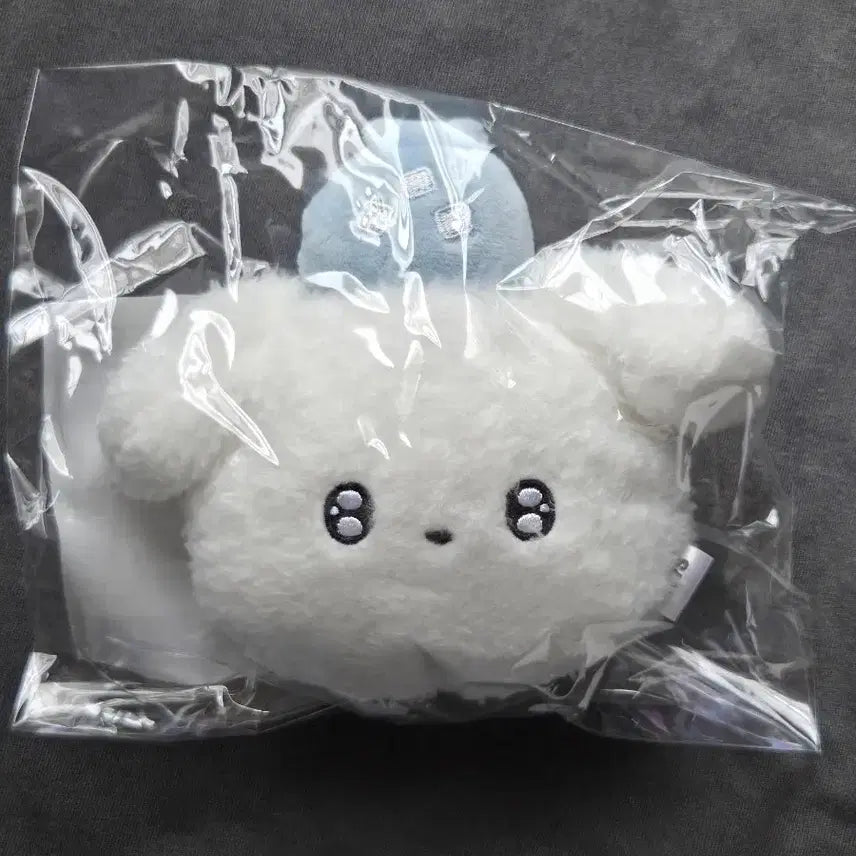 [BUNJANG] Byeon Woo Seok Asia Fan Meeting Limited Goods / 변우석 아시아팬미팅 한정굿즈