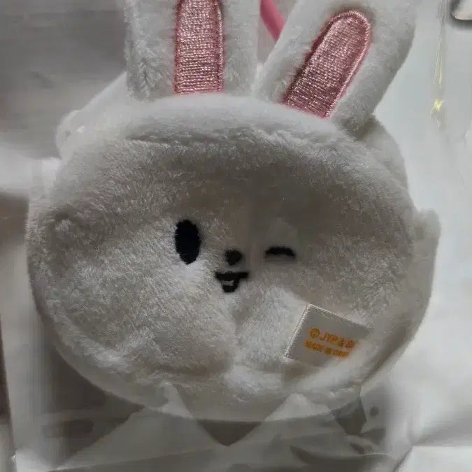 [BUNJANG] Stray Kids SKZOO Ribbit Mini Backpack Keyring / SKZOO MINI BACKPACK KEYRING (리빗) 런잇 콘서트md
