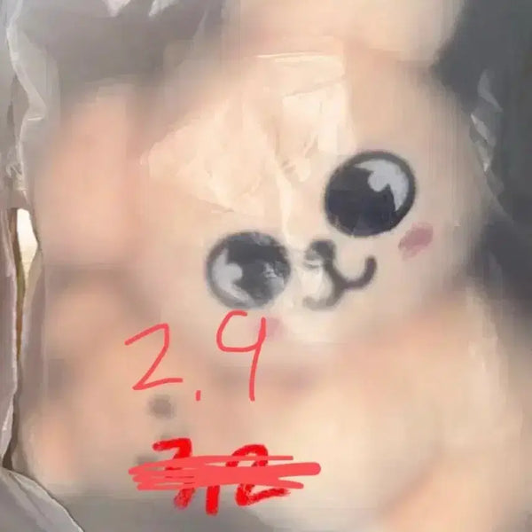 [BUNJANG] PERFOM MUGEN Seungmin Plush Doll / 퍼핌 마그넷 인형 스키즈 승민 플러시